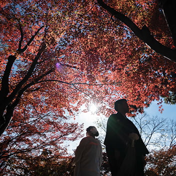 大阪前撮り(秋の紅葉)-14