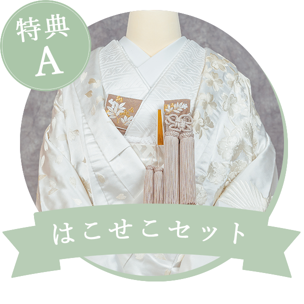 はこせこセット