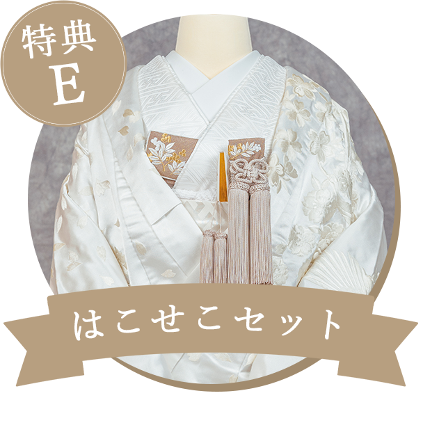 はこせこセット