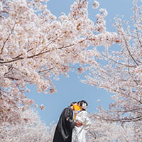 桜ヶ丘の和装前撮りフォト-02