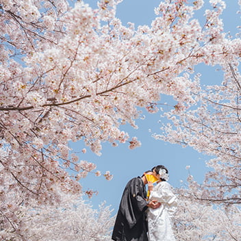 大阪の和装前撮り-01