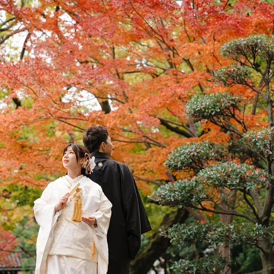 秋の紅葉の和装前撮り-03