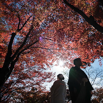 紅葉の和装前撮り-14