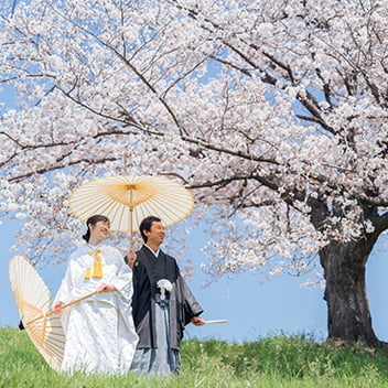 春の和装前撮り-01
