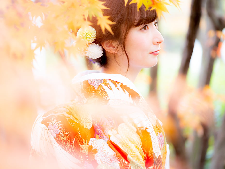 ロケ1着プランのポイント-02