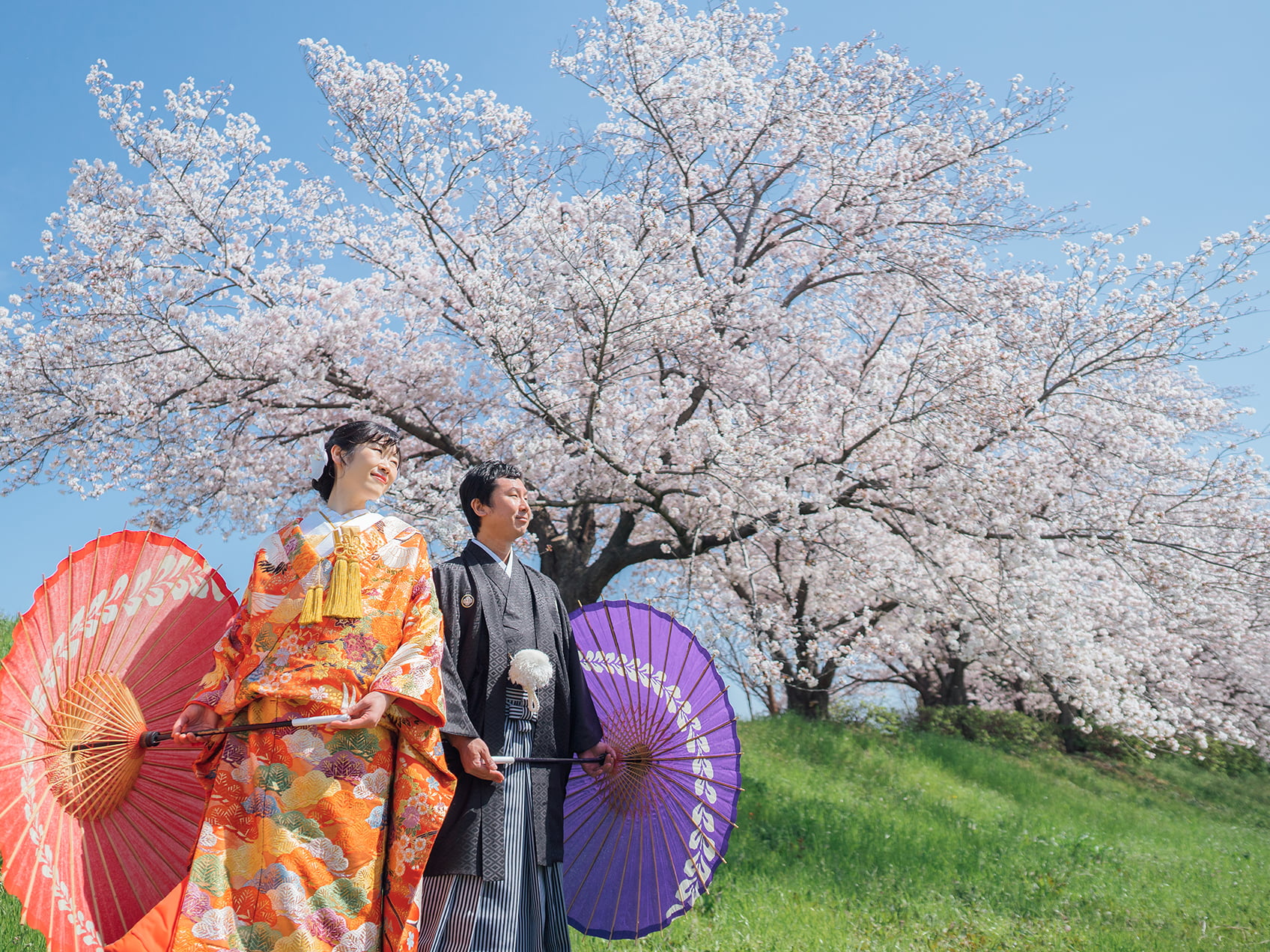 桜ヶ丘での前撮り