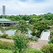 大仙公園での前撮り