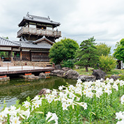 池田城跡公園での前撮り