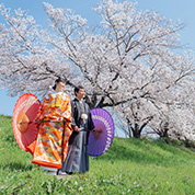 桜ヶ丘での前撮り