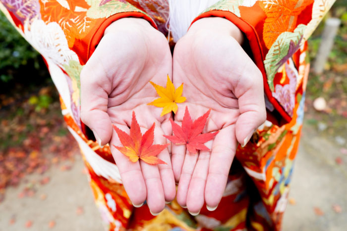 紅葉を掌に乗せて前撮り