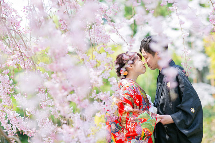 大阪 春の桜 和装前撮りガイド｜大阪前撮り からん｜和装のフォト