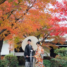 大阪の秋の紅葉 和装前撮りガイド