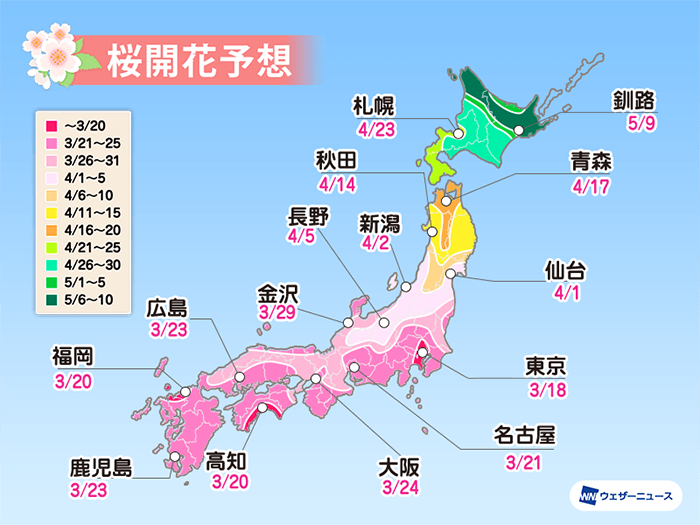 桜開花予想