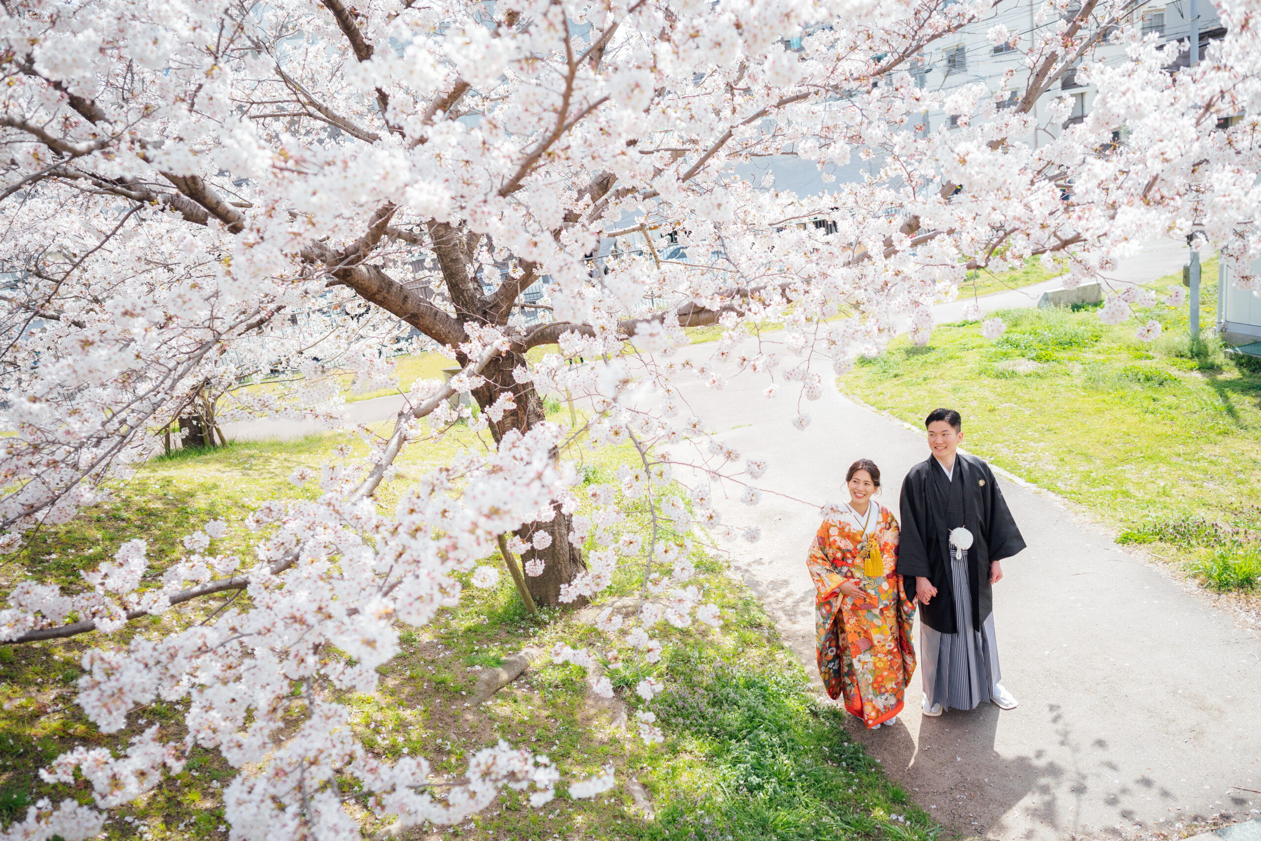 大阪の桜フォトウエディング