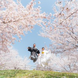 大阪の桜 和装前撮り穴場ロケーション！桜ヶ丘をご紹介