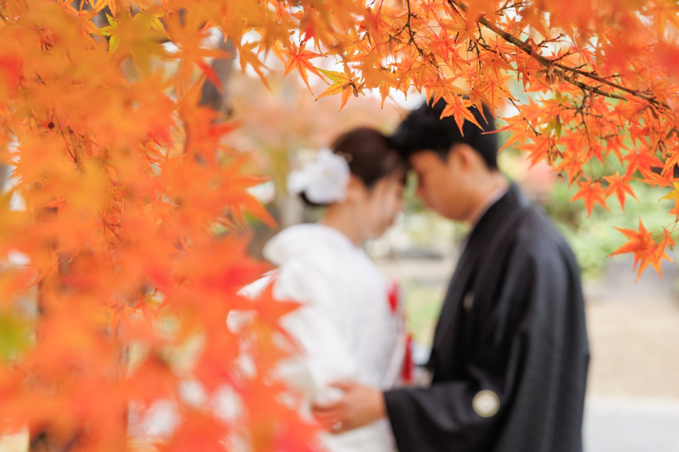 安く和装前撮りが叶う紅葉早割キャンペーン