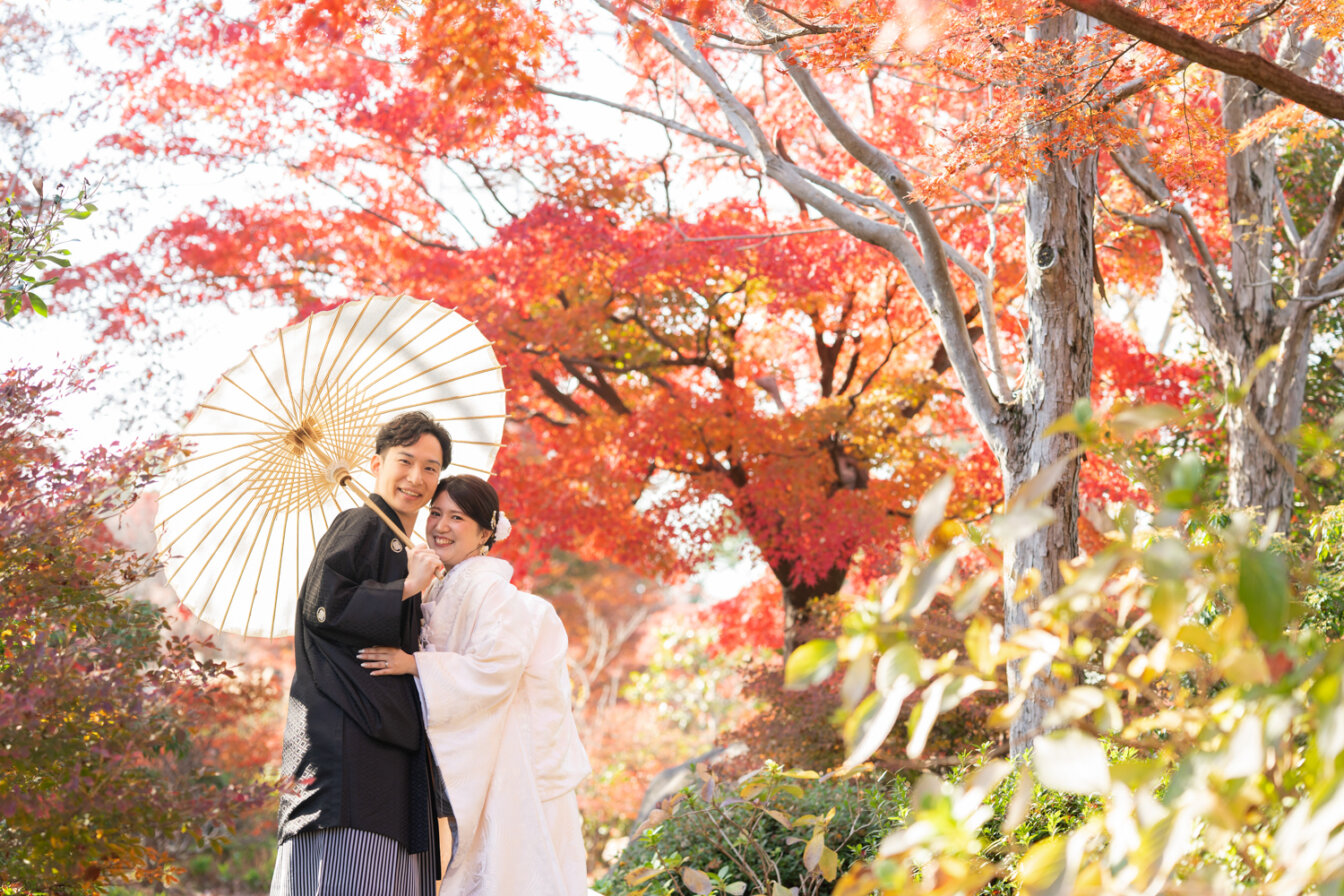 大阪紅葉前撮りの割引キャンペーン