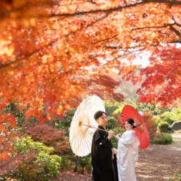 10月・11月・12月の大阪和装前撮りにおすすめ!季節の植物とロケーション